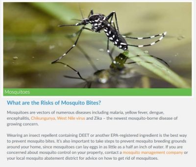 Photo and information about mosquitoes.