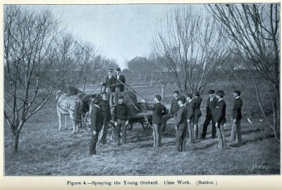 Alwood spraying new orchard with students