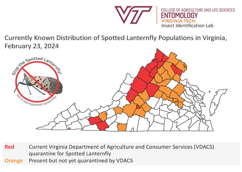 Spotted Lanternfly Map Virginia July 2022