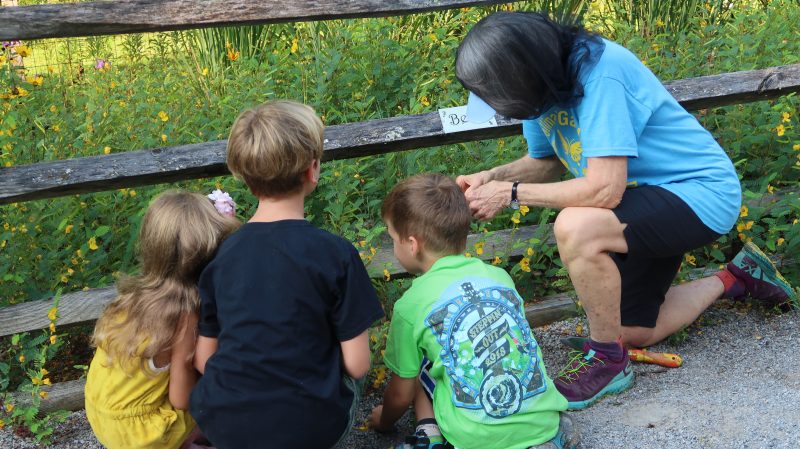 Image of children meeting the pollinators and the plants they love! (photo: Harriet Shaw)