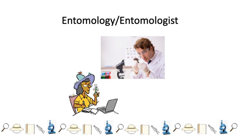 Entomology/Entomologist