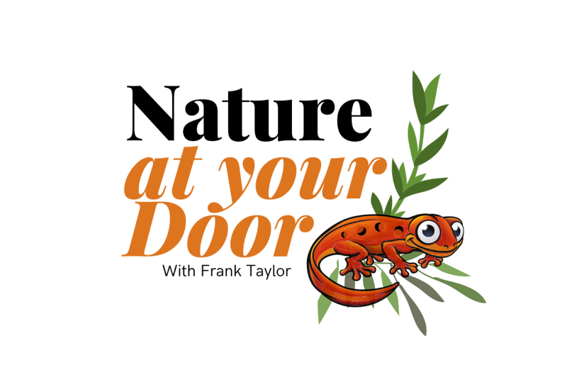 Nature at your Door Logo