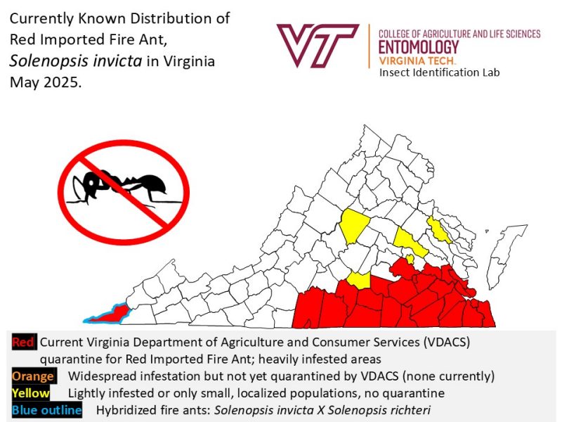 Red imported fire ant distribution map